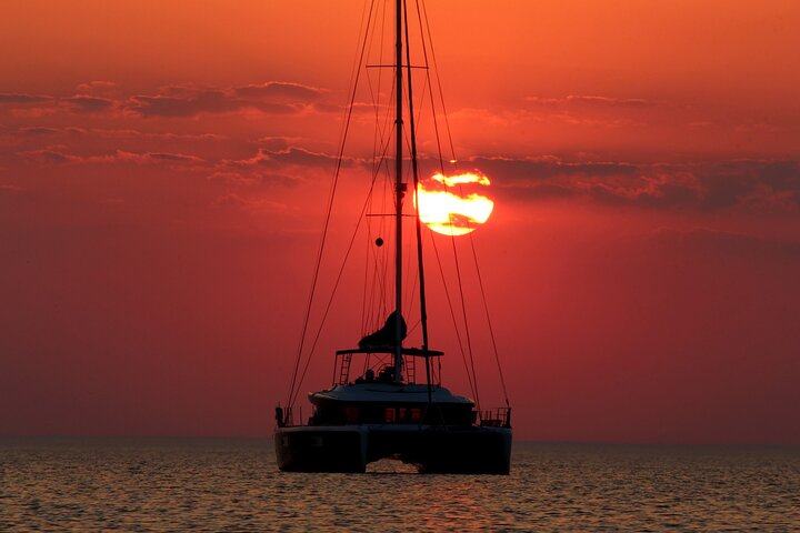 Dolphin Morning Watching & Snorkeling + open bar + 1 day Hop-On Hop-Off Fun - Image 3