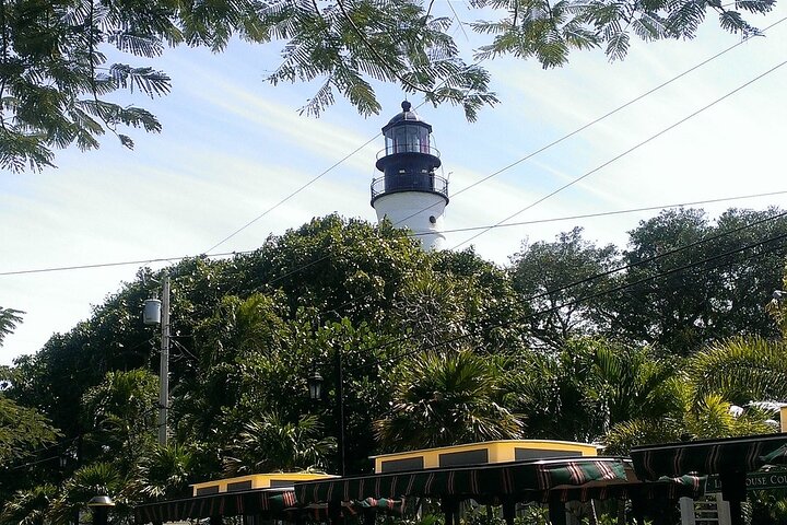 Dolphin Morning Watching & Snorkeling + open bar + 1 day Hop-On Hop-Off Fun - Image 2