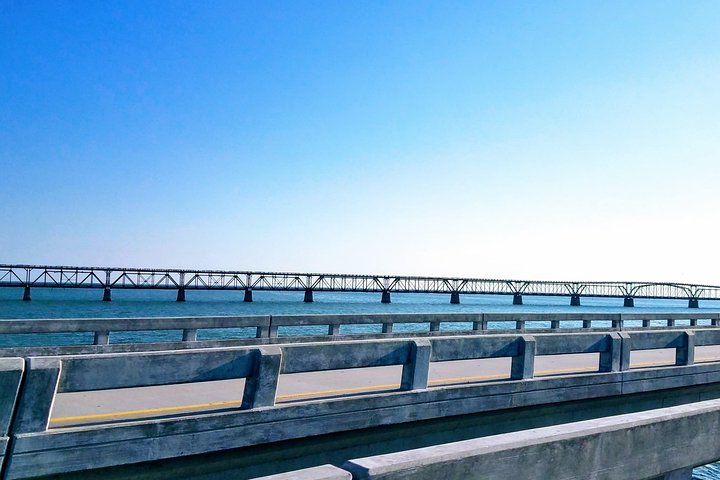 Florida Keys Nature & History Tour from Key West - Image 4