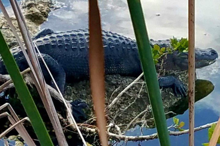 Florida Keys Nature & History Tour from Key West - Image 2