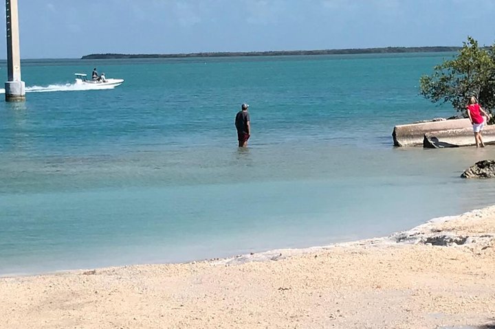 Florida Keys Tour and Private Transportation service - Image 3