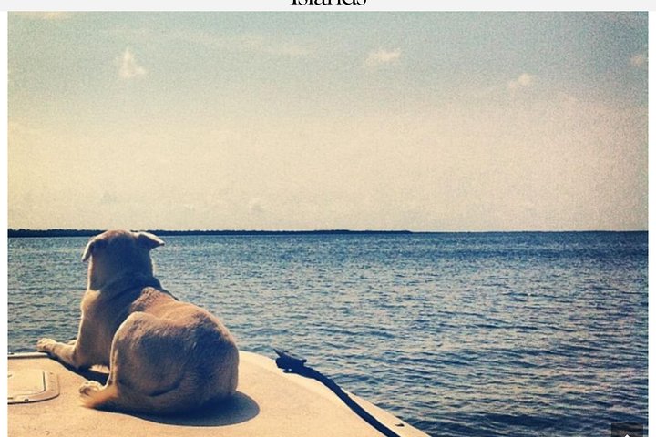 Florida Keys Tour and Private Transportation service - Image 5