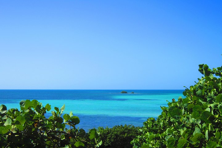 Full-Day Tour of Florida Keys Including Aquarium Encounters from Key West - Image 5