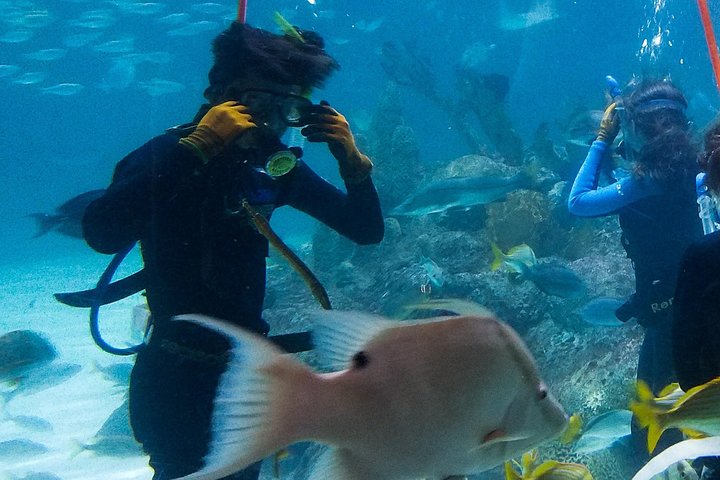 Full-Day Tour of Florida Keys Including Aquarium Encounters from Key West - Image 4