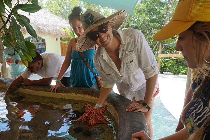 Full-Day Tour of Florida Keys Including Aquarium Encounters from Key West - Image 2