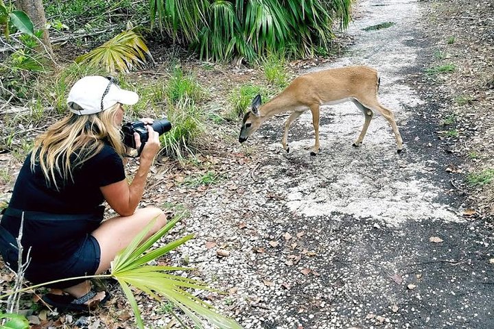 Full-Day Tour of Florida Keys Including Aquarium Encounters from Key West - Image 1