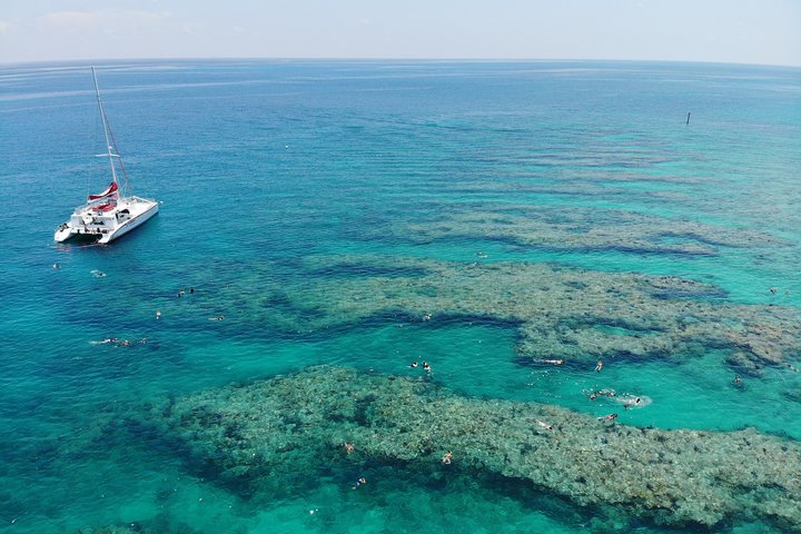 Key West Afternoon Reef Snorkeling with Open Bar - Image 2