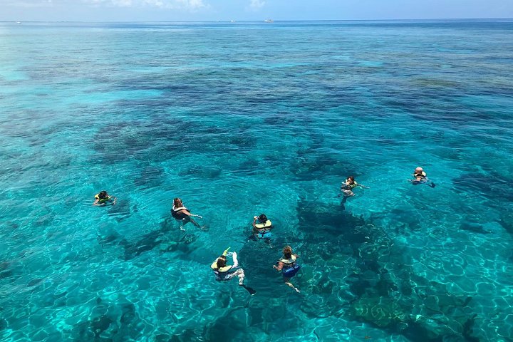 Key West Afternoon Reef Snorkeling with Open Bar - Image 5