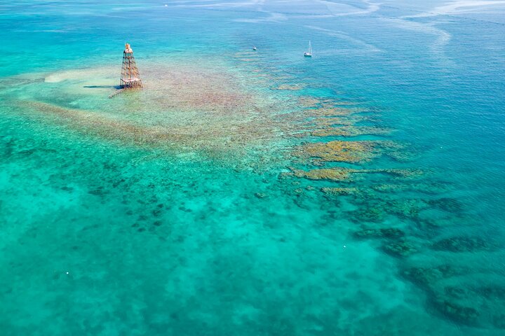 Key West Afternoon Reef Snorkeling with Open Bar - Image 3