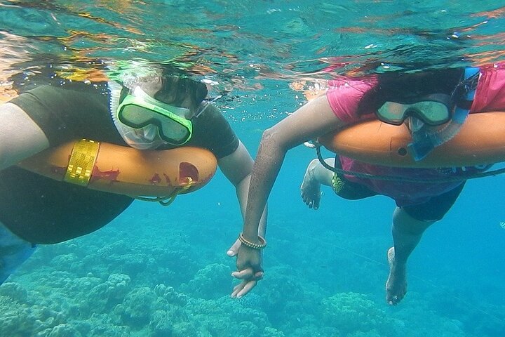 Key West Combo: Hop On Hop Off Afternoon Snorkeling - Image 1