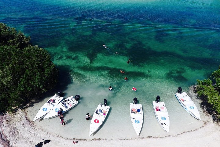 Key West Safari Eco Tour Adventure with Snorkeling - Image 2