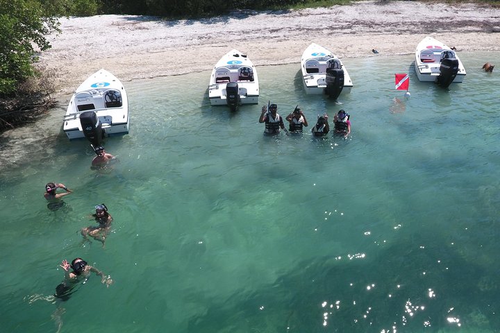 Key West Safari Eco Tour Adventure with Snorkeling - Image 3