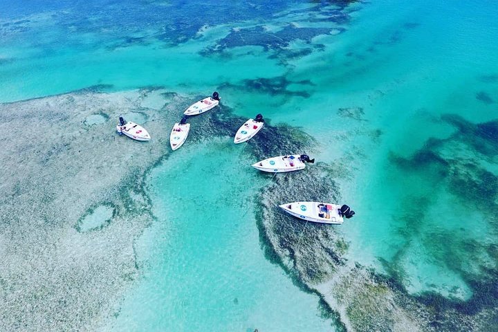 Key West Safari Eco Tour Adventure with Snorkeling - Image 1