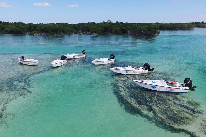 Key West Safari Eco Tour Adventure with Snorkeling - Image 4