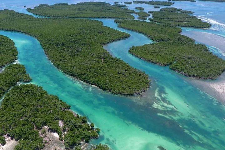 Key West Safari Eco Tour Adventure with Snorkeling - Image 5