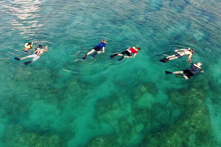Key West Snorkeling with Breakfast and Unlimited Mimosas  - Image 5