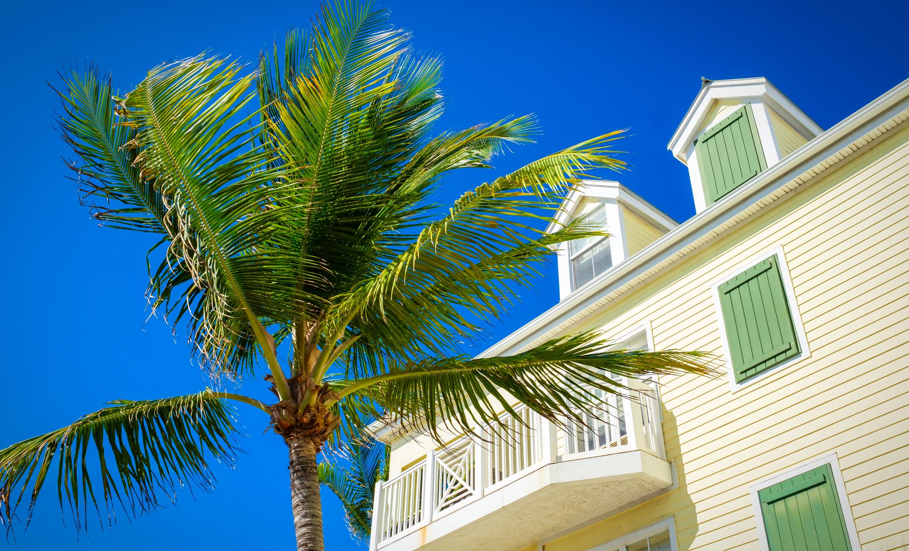 Key West Walking Tour - Image 1