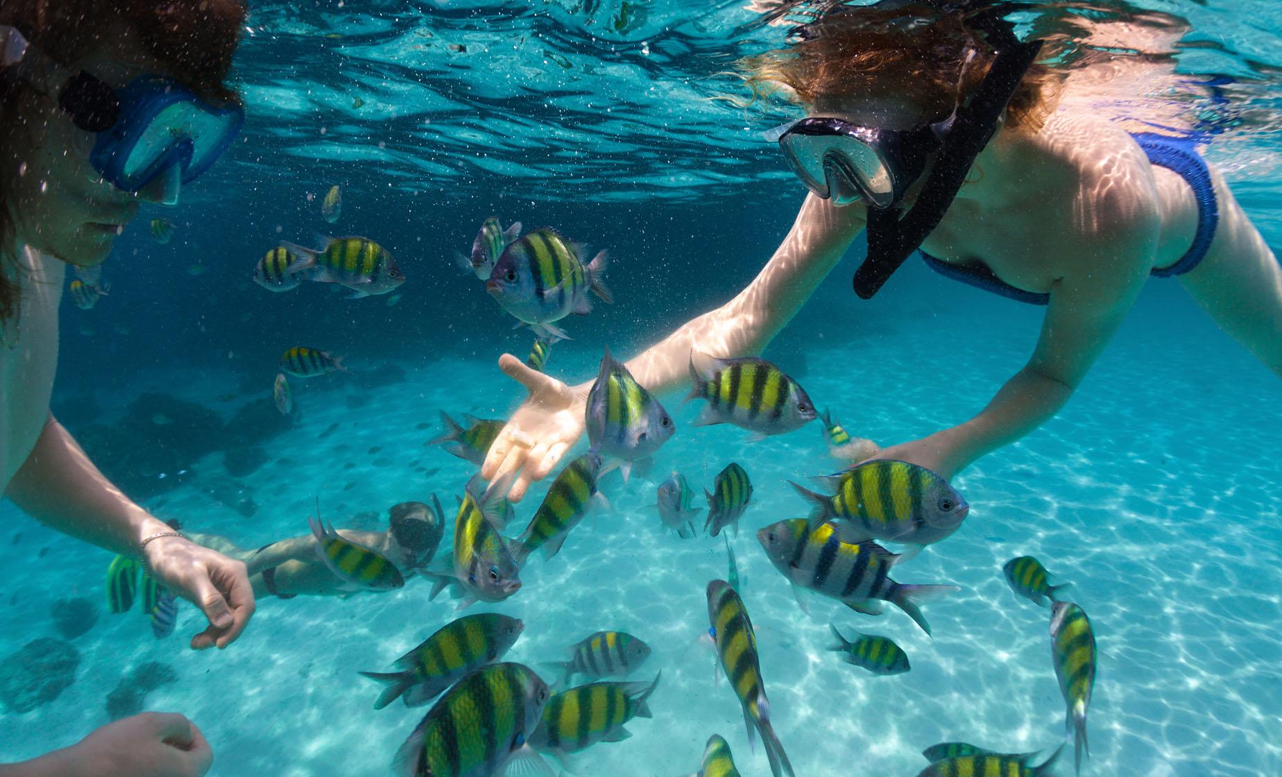 Premium Morning Snorkel and Sail Adventure - Image 1
