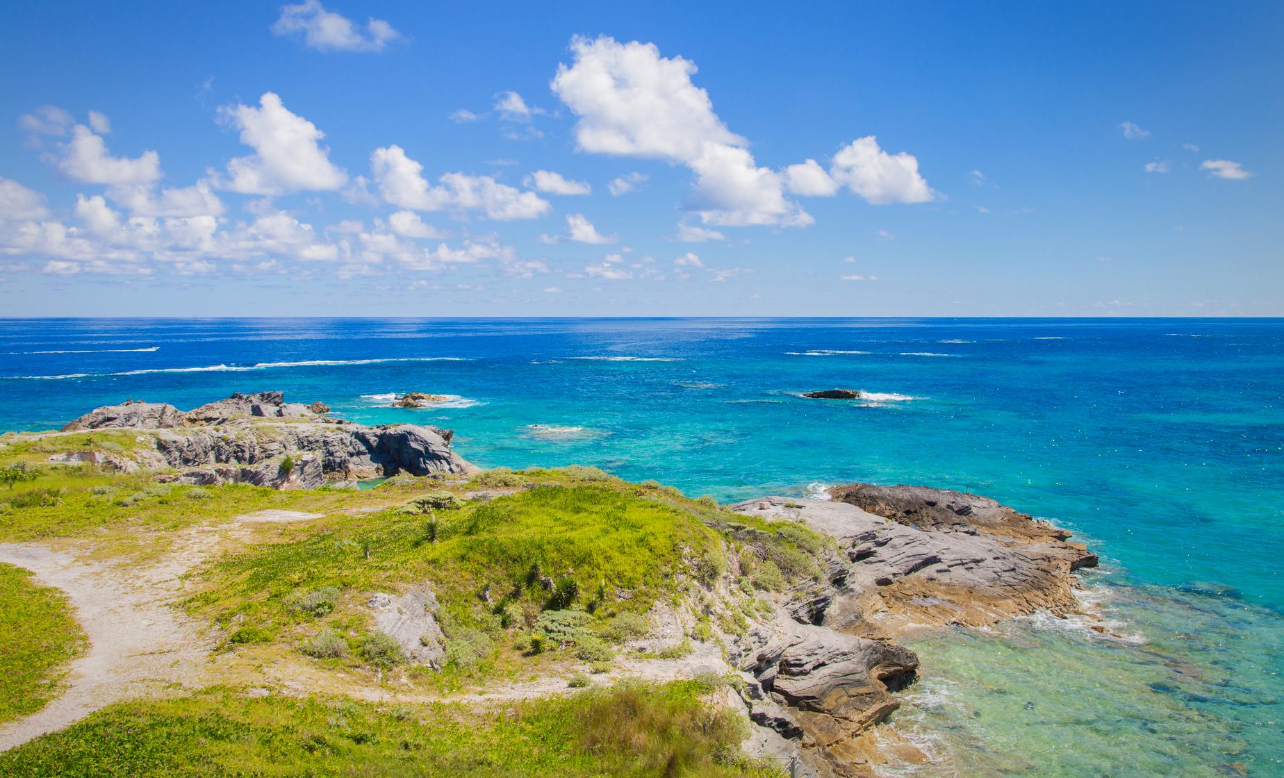 Bermuda Eco Tour - Image 1