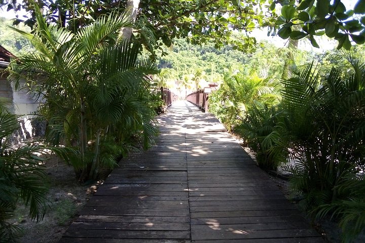 Buccament Beach Tour - Image 2