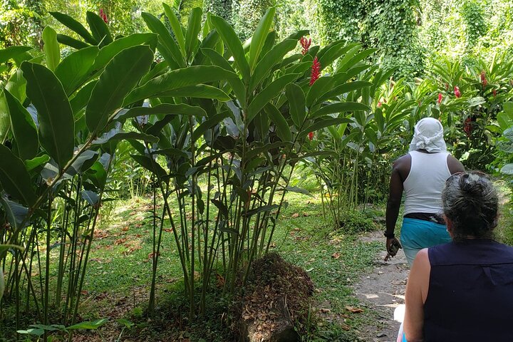 Dark View Falls and Pirates of the Caribbean Movie Set  - Image 4