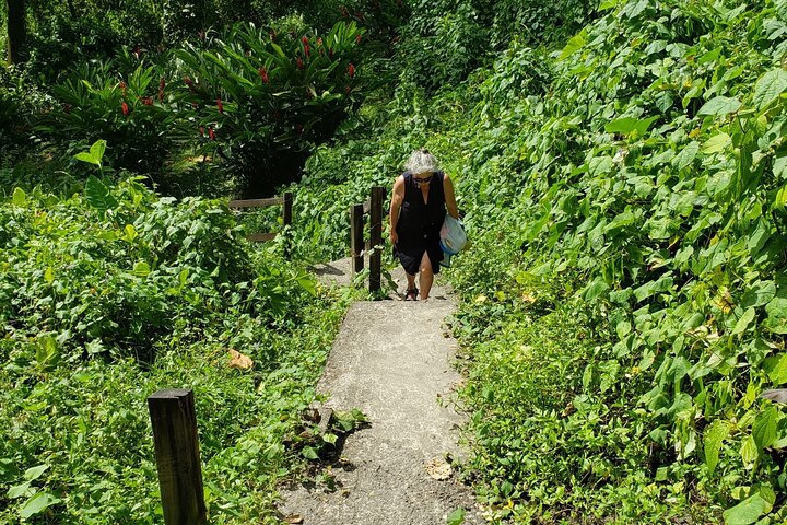Dark View Falls and Pirates of the Caribbean Movie Set  - Image 5