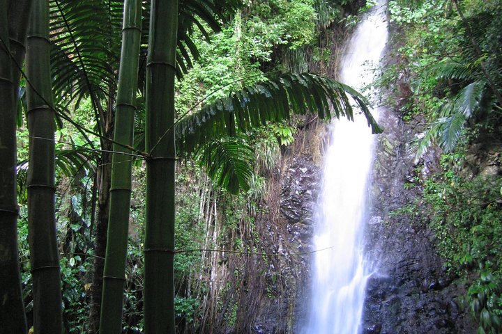 Dark View Falls Tour and Beach - Image 3