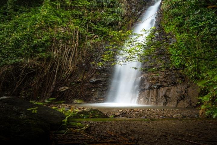 Dark View Falls Tour with Trubb Taxi Tours - Image 2