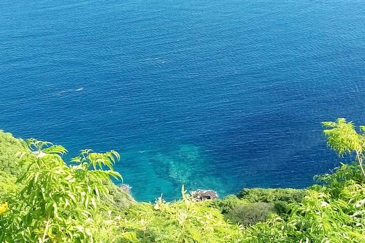 Fort Charlotte, Botanical Gardens and Kingstown Tours with Detention Tours - Image 3