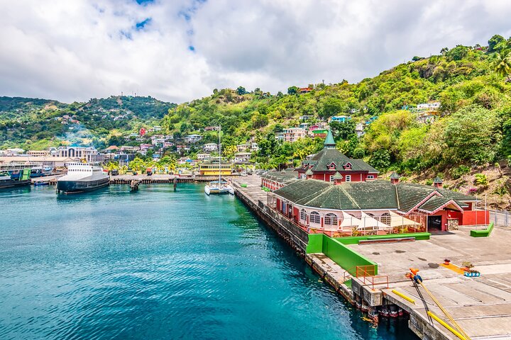 Full Day Private Shore Tour in Kingstown from Kingstown Port - Image 1
