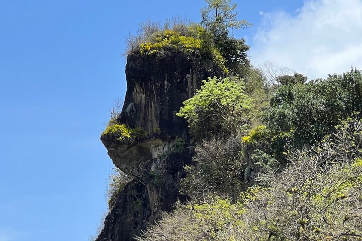Hike to Gorilla Rock with Swimming at Questelles Beach - Image 4