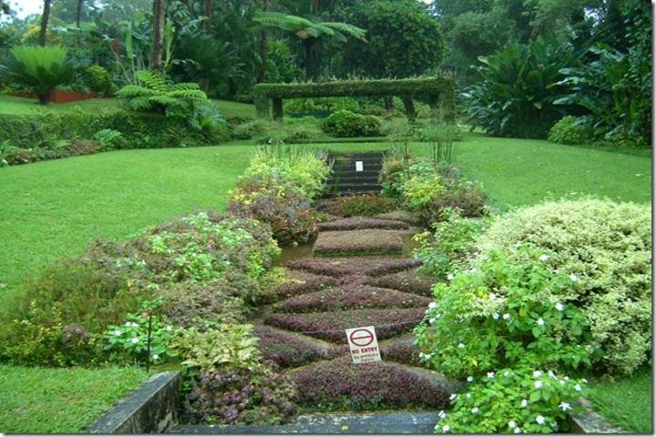 Montreal Gardens Tour with Trubb Taxi Tours - Image 3