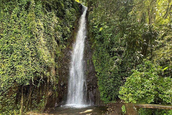 The Cascading Dark View Falls and Beach Experience with Topdawg Taxi and Tours - Image 2