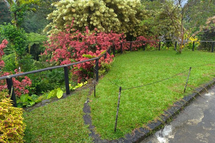 The Montreal Garden Tour with Fraser's Taxi and Tours - Image 2