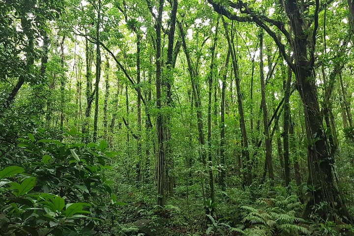 Vermont Nature Trail Hike - Image 2