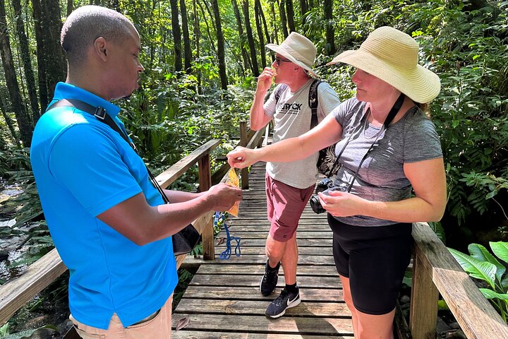Vermont Nature Trail with Topdawg Taxi and Tours - Image 5