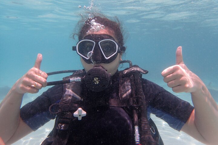 2 Days Diving Trip to Koh Tao Including 4 Dives and Accommodation - Image 4