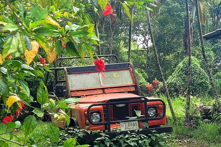  6 Hrs Off Road 4x4 Adventure of Hidden Gems In Koh Samui Hills 1 - 4 persons - Image 3