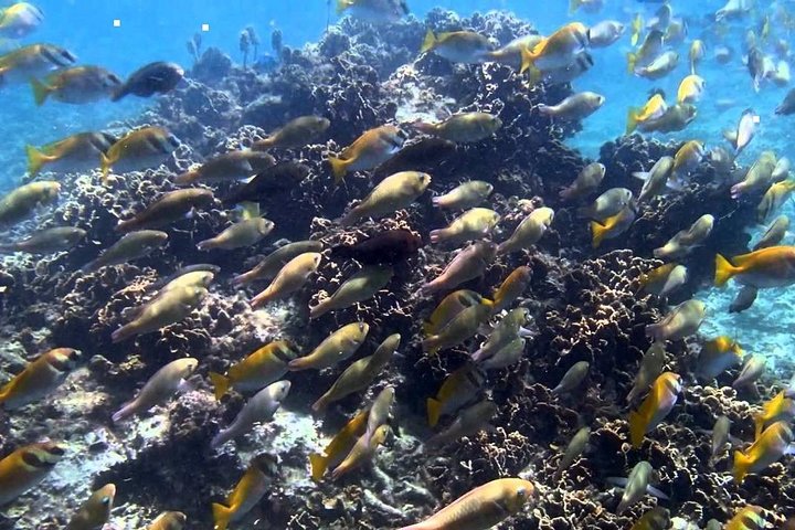 Ang Thong National Marine Park Full Day Tour - Image 2