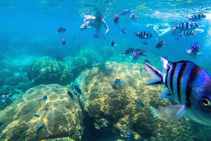 Day Tour to Angthong Marine Park by Insea Speedboat from Koh Samui - Image 4
