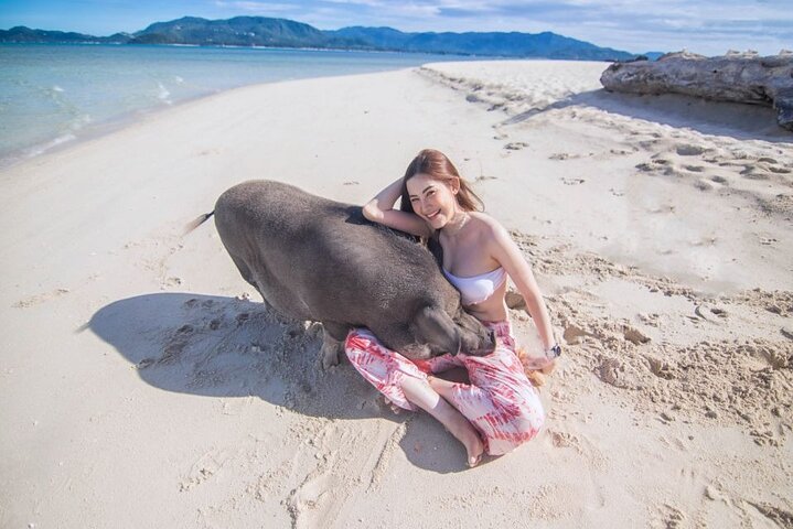 Koh Samui Pig Island Tour by Speedboat with Snorkeling - Image 1