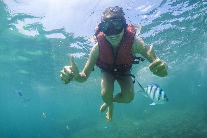 Koh Samui Pig Island Tour by Speedboat with Snorkeling - Image 4