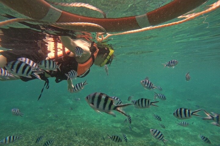 Koh Tao and Koh Nang Yuan Speedboat Tour from Koh Phangan - Image 5