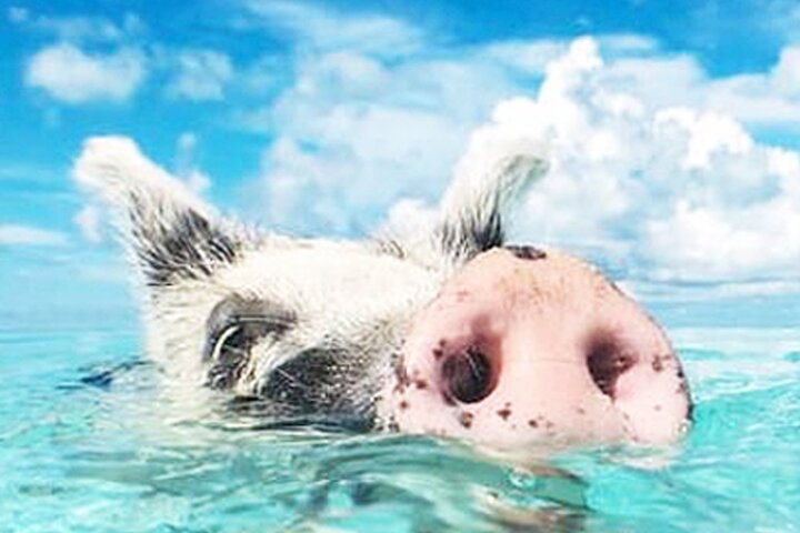 kohsamui.tours - Secret Islands Longtail Boat trip - Image 1