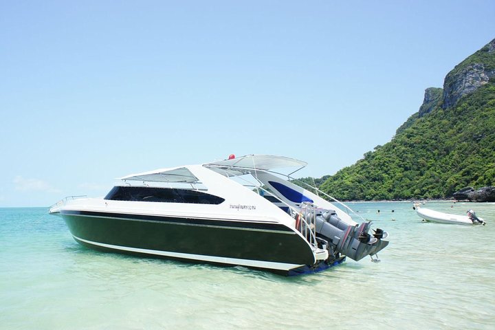 Private Speed Boat Snorkeling Trip (4 hrs.)  - Image 5