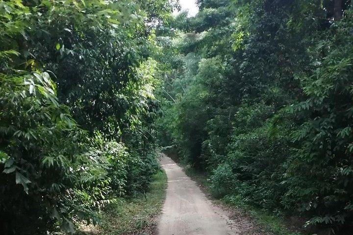 Private trip around Koh Phangan - Image 3