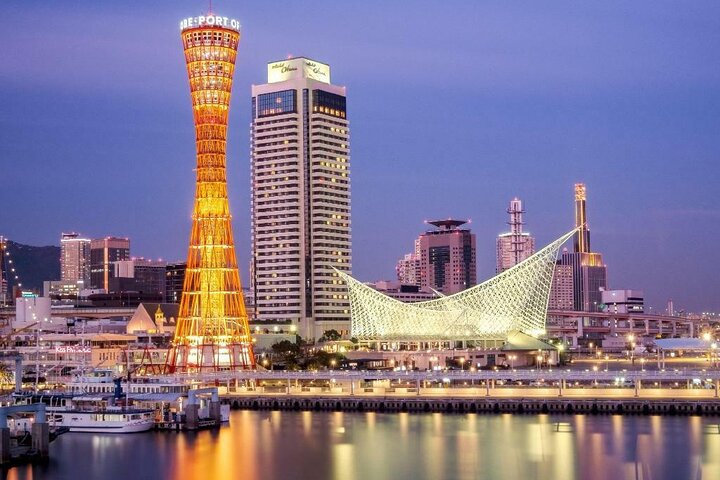 Kobe Full-Day Private Tour with Government-Licensed Guide - Image 1