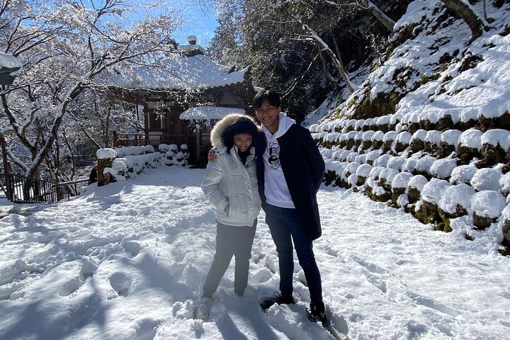 Kyoto Full Day Tour from Kobe with Licensed Guide and Vehicle - Image 5