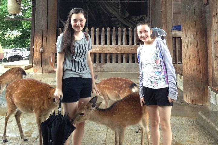Nara private tour (Shore excursion available from Osaka or Kobe port) - Image 1