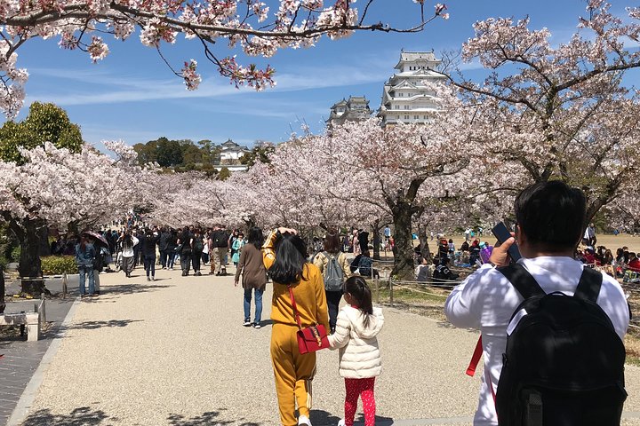 Private & Custom KOBE-HIMEJI CASTLE Day Tour by Coaster/Microbus (Max 27 Pax) - Image 5